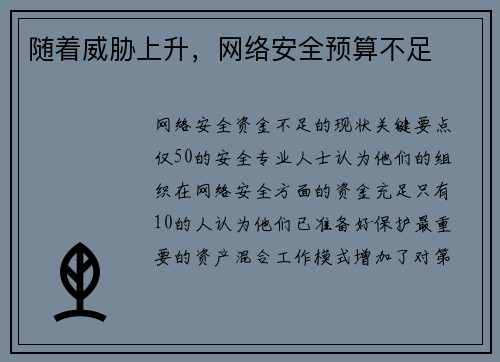 随着威胁上升,网络安全预算不足  随着威胁上升,网络安全预算不足